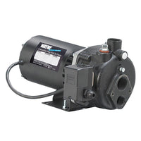 Wayne 1/2 HP 900 gph Cast Iron Convertible Jet Well Pump