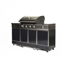 TYTUS 4 Burner Liquid Propane Grill Gray