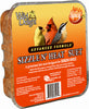 Wild Delight Sizzle N Heat Songbird Wild Bird Food Beef Suet 11.75 oz.