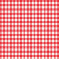 Magic Cover Red/White Checkered Vinyl Disposable Tablecloth 90 in. L X 52 in. W