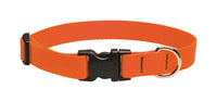 Lupine Pet Basic Solids Blaze Orange Blaze Orange Nylon Dog Adjustable Collar