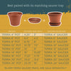 Bloem Terrapot 4.5 in. H X 4 in. D Resin Traditional Planter Terracotta Clay