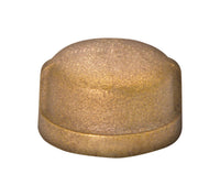 JMF Company 1/2 in. FPT Brass Cap