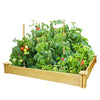 Miracle-Gro Brown Cedar Square Outdoor Elevated Raised Garden Bed Kit 5.5 H x 48 W x 48 L in.