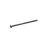 Grip-Rite PrimeGuard Plus No. 10 wire S X 4 in. L Star Bugle Head Deck Screws 1 lb  (Pack of 12)