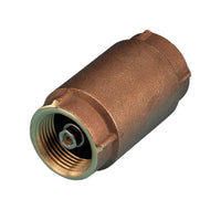 Parts 2O Brass 1 in. Spring Check Valve