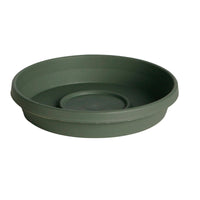 Bloem Terratray Thyme Green Resin Round Traditional Tray 1.7 H x 9.25 Dia. in. with Saucer