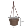 Bloem 6.8 in. H X 12.4 in. D Resin Hanging Basket Chocolate