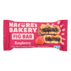 Raspberry Fig Bar 2oz (Pack of 12)