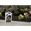 Ortho GroundClear Weed and Grass Killer RTU Liquid 1 gal.