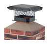 HY-C Draft King various in. Powder Coated Steel Chimney Cap