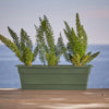 Bloem Dura Cotta 5.75 in. H X 24 in. W X 7.5 in. D Plastic Window Box Green