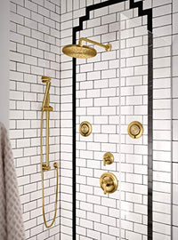 Brushed gold shower arm