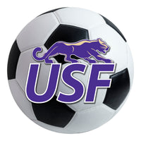 University of Sioux Falls Soccer Ball Rug - 27in. Diameter