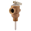 Cash Acme Temperature and Pressure Relief Valve