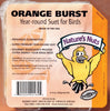 Natures Nuts 00164 11.5 Oz Orange Burst Suet (Pack of 12)