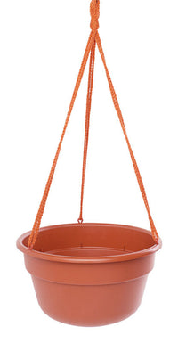 Bloem 6.8 in. H X 12.4 in. D Resin Dura Cotta Hanging Basket Terracotta Clay