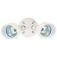 Heath Zenith Switch Hardwired Halogen White Security Light