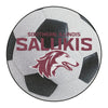 Southern Illinois University Soccer Ball Rug - 27in. Diameter