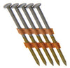 Grip-Rite 3-1/4 in. 10 Ga. Plastic Strip Hot-Dip Galvanized Framing Nails 21 deg 4000 pk