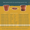 Bloem Terrapot 17.2 in. H X 20 in. D Resin Traditional Planter Terracotta Clay