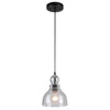 Westinghouse Fiona Oil Rubbed Bronze Clear 1 lights Mini Pendant Light (Pack of 6).