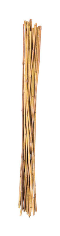 Panacea 36 in. H Brown Bamboo Plant Stake (Pack of 36)