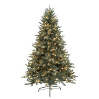 Celebrations 7 ft. Full LED 500 lights Forest Green Pine Christmas Tree