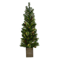 Celebrations 4 ft. Pencil LED 50 ct Potted Tree Christmas Tree