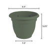 Bloem Terrapot Thyme Green Resin UV-Resistant Bell Ariana Planter 6.5 H x 6 Dia. in.