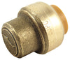 SharkBite 1/2 in. Push Brass End Stop