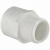 Charlotte Pipe Schedule 40 PVC Pipe Adapter (Pack of 25)