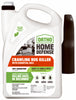 Ortho Home Defense Crawling Insect Killer Liquid 0.5 gal