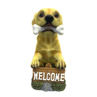 Infinity Assorted Polyresin 14.17 in. H Welcome Lab Dog Statue (Pack of 2)