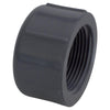 Charlotte Pipe Schedule 80 3/4 in. MPT X 3/4 in. D FPT PVC Threaded Cap 1 pk