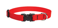 Lupine Pet Basic Solids Red Red Nylon Dog Adjustable Collar