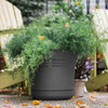 Bloem Saturn 4.5 in. H X 5 in. D Plastic Planter Charcoal