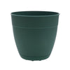 Bloem Dayton 11.25 in. H X 12 in. D Plastic Planter Turtle Green