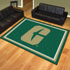 University of North Carolina - Charlotte 8ft. x 10 ft. Plush Area Rug