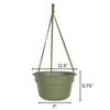 Bloem 6.8 in. H X 12.4 in. D Resin Dura Cotta Hanging Basket Living Green