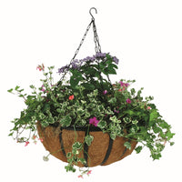 Gardman 8 in. H X 14 in. D Steel Hanging Basket Black