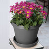 Bloem Terra 20.2 in. H X 24 in. D Plastic Planter Charcoal