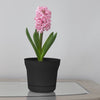 Bloem 10.75 in. H Plastic Saturn Flower Pot Black