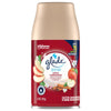 Glade Apple Cinnamon Scent Air Freshener Refill 6.2 oz Aerosol 1 pk