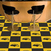 University of Southern Mississippi Team Carpet Tiles - 45 Sq Ft.