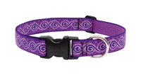 Lupine Pet Original Designs Multicolor Jelly Roll Nylon Dog Adjustable Collar