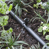 Raindrip Spot Drip Irrigation Dripper 1 gph 10 pk