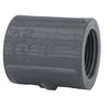 Charlotte Pipe Schedule 80 3/4 in. FPT X 3/4 in. D FPT PVC Coupling 1 pk