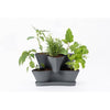 Bloem Collins 10.6 in. H x 16 in. W x 14.5 in. D Resin 2 Level Planter Charcoal