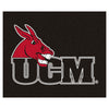 University of Central Missouri Rug - 5ft. x 6ft.